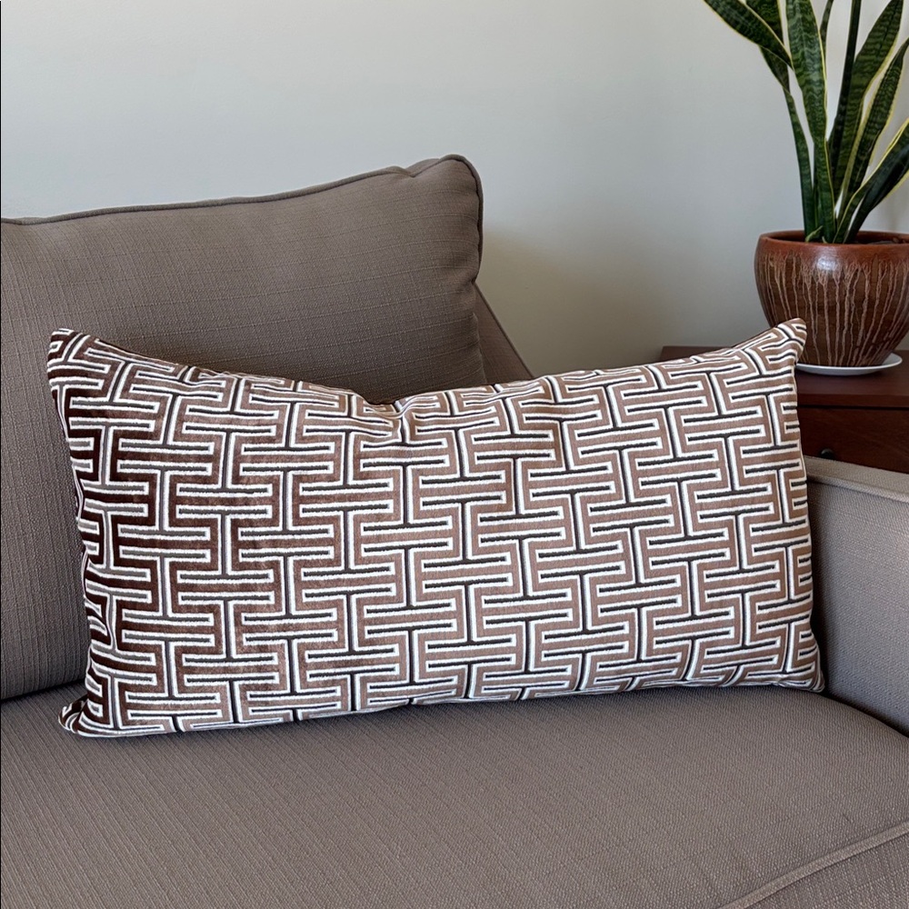 AVA Premium Luxury Waterfowl
feather encased interior,velvet,zipper,throw pillow